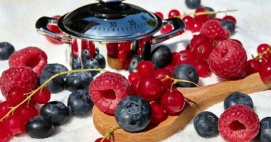 Bagas: Pequenas frutas que devemos consumir