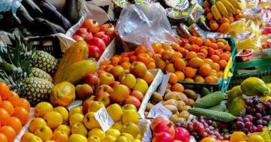Frutas: Famílias de frutas comestíveis