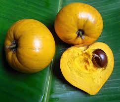 Frutas Equatoriais: Abiu Cutite ou Tuturubá