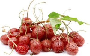 Frutas da Ásia: Goumi