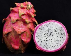 Cactos: Pitaia